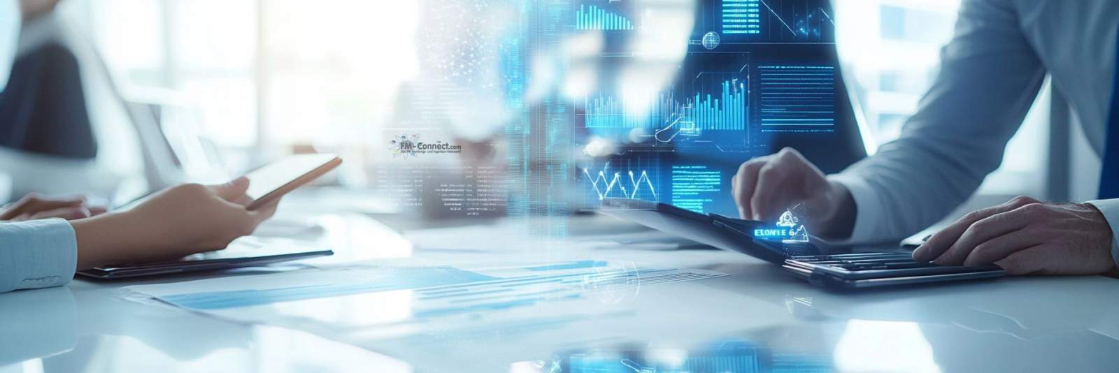 Taktische Ebene des Regional Facility Managements (RFM) in einem Internationalen Großunternehmen